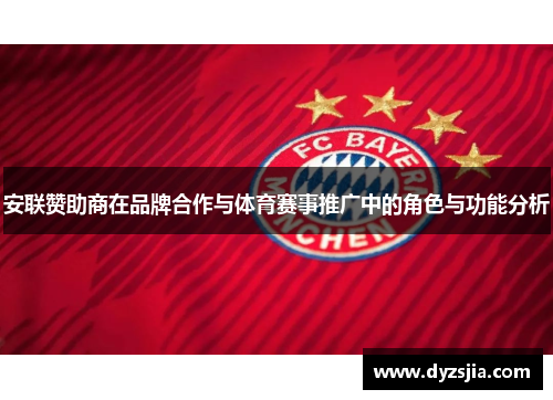 安联赞助商在品牌合作与体育赛事推广中的角色与功能分析