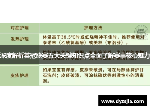 深度解析英冠联赛五大关键知识点全面了解赛事核心魅力